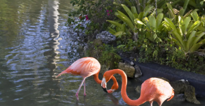 Exóticos y hermosos momentos con la naturaleza.