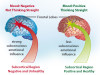 neuropsicologia2