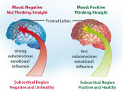 neuropsicologia2